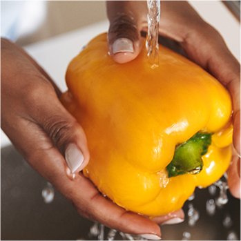 آماده سازی غذا